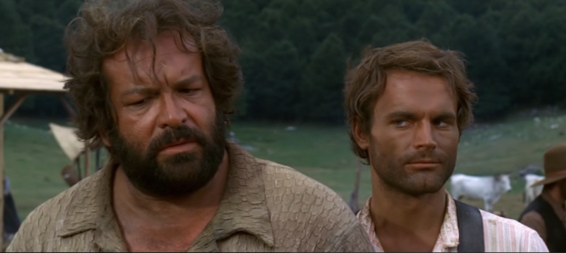 Raduno Mondiale Dei Fan Di Bud Spencer E Terence Hill A Gubbio Telepress